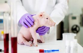 ¿Cuándo está justificado éticamente un experimento científico en nombre de un bien superior?