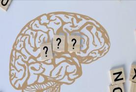 ¿Puede hacerse un uso fraudulento del lenguaje científico?