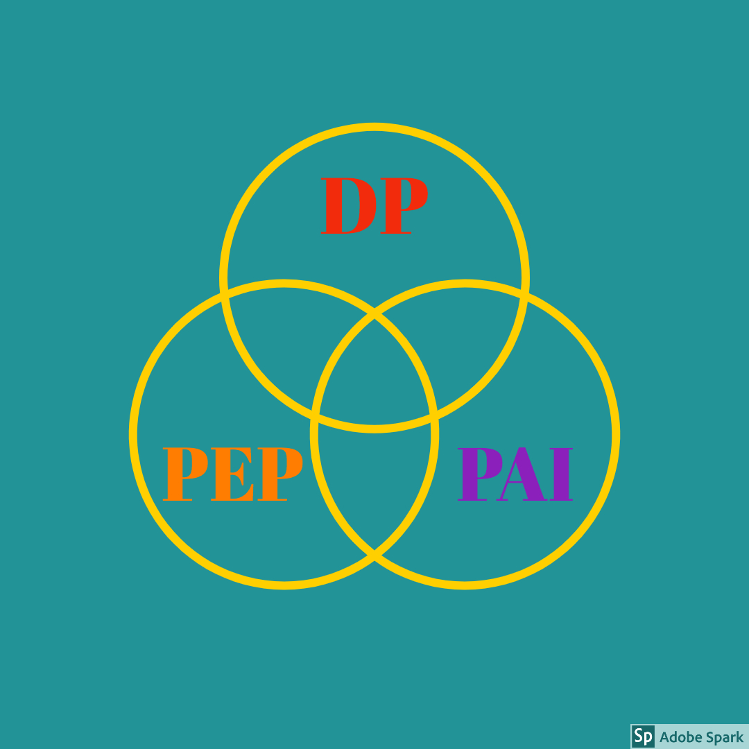 Diferencias entre los enfoques en los programas de PAI, PEP y PD.