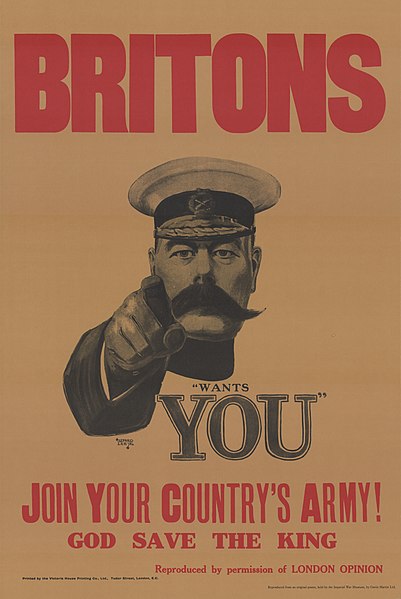 Las Causas de la Primera Guerra Mundial (1914 - 1918)