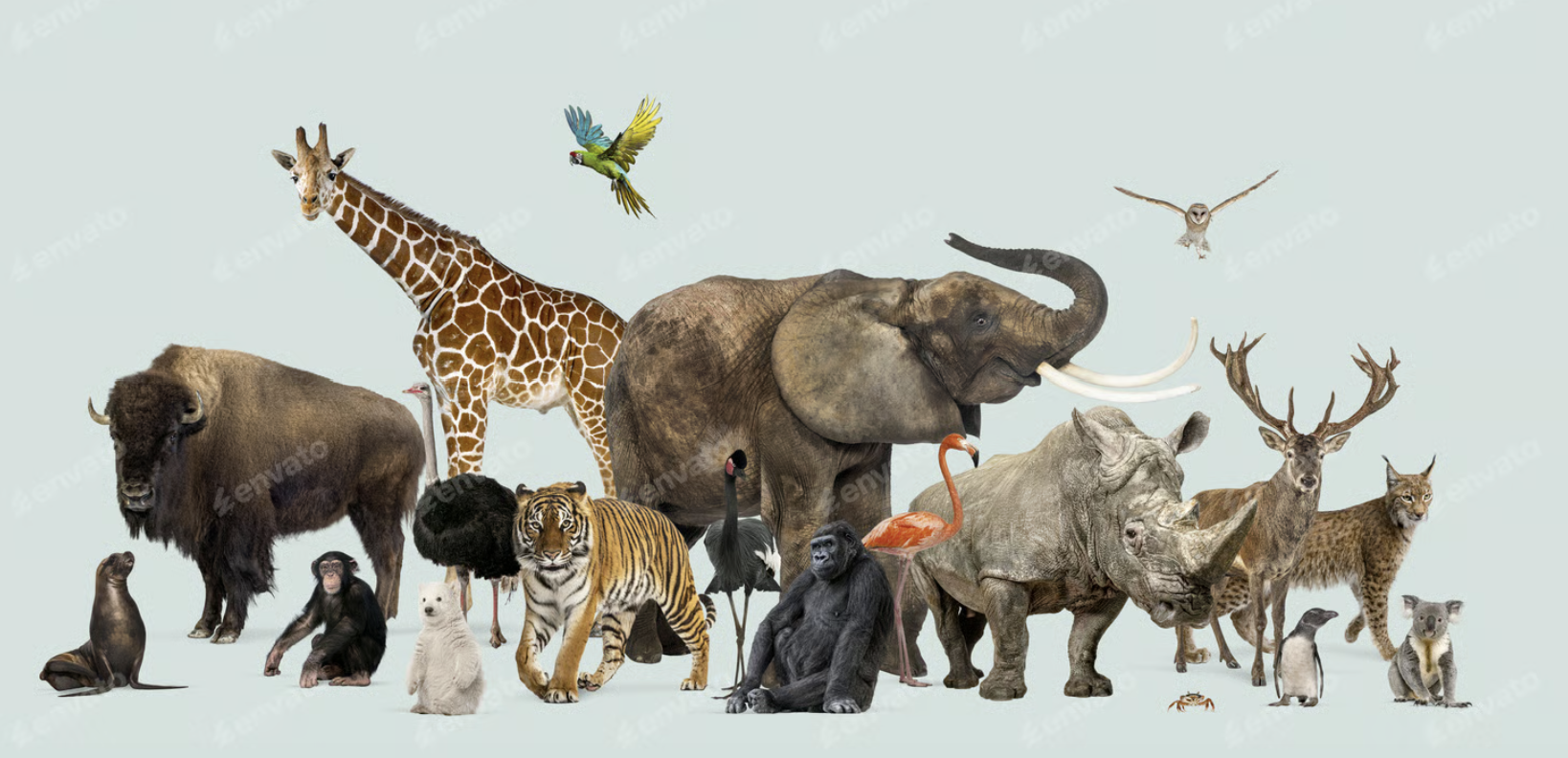 C. Interacción e interdependencia