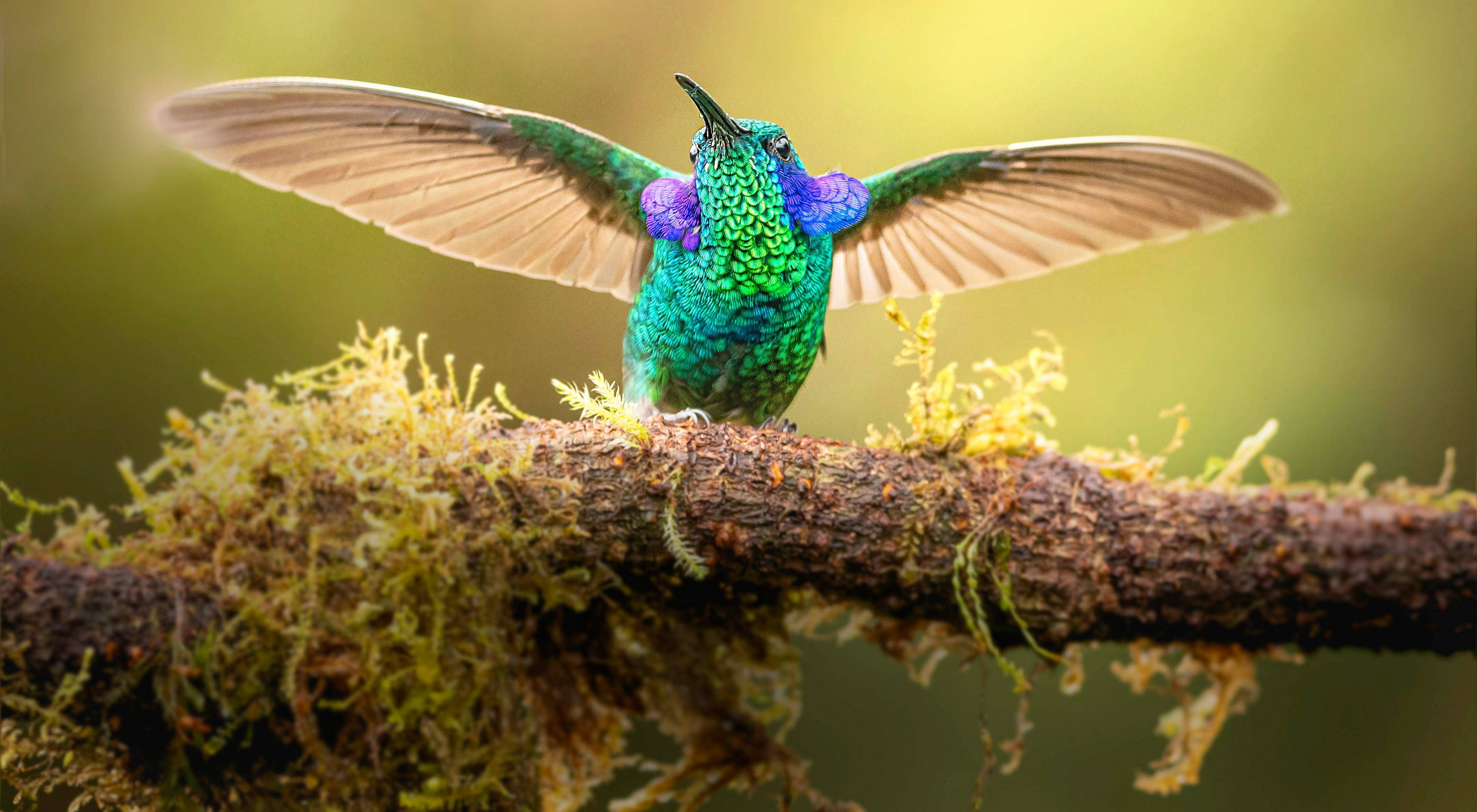 A4.2 Conservación de la biodiversidad
