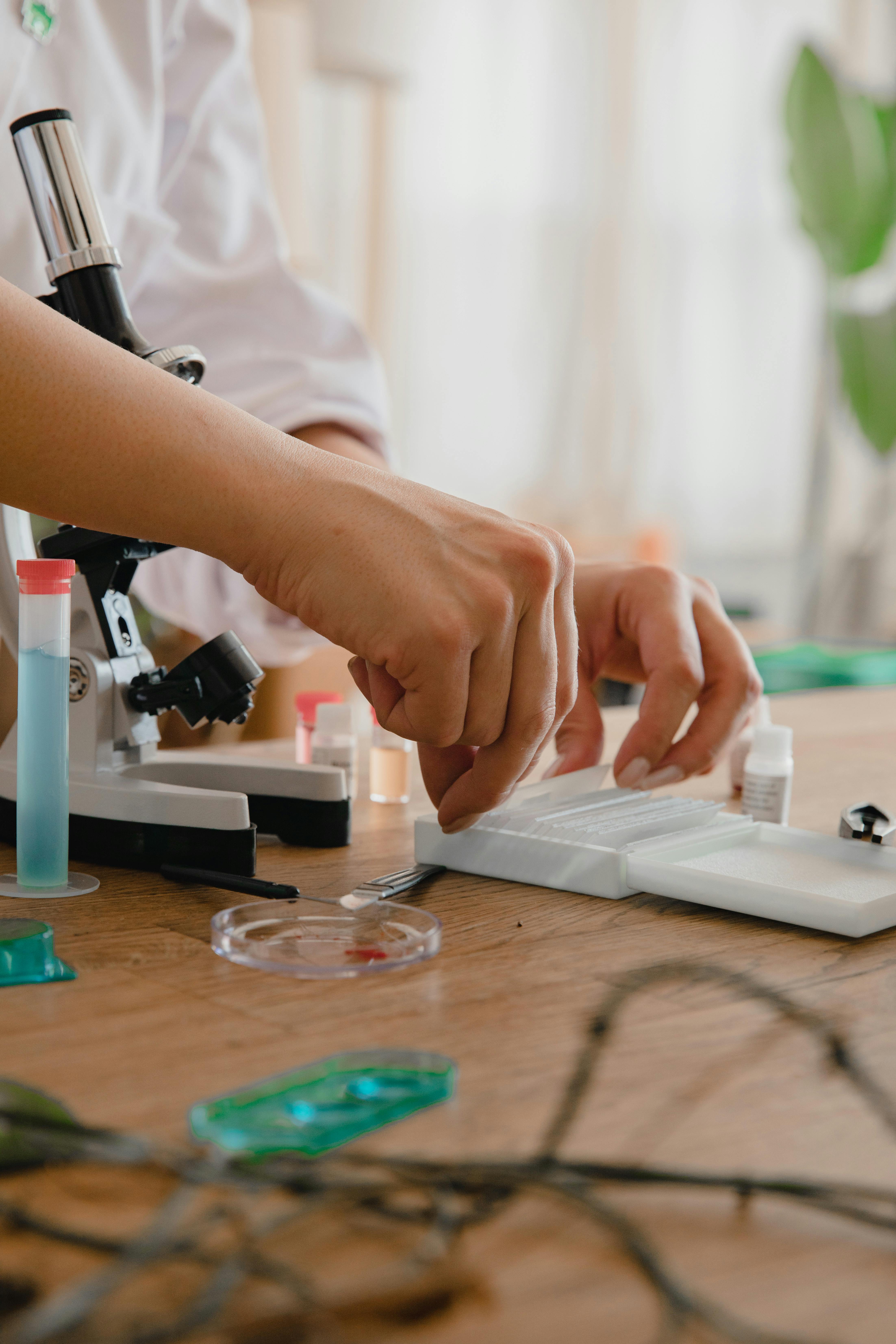 El informe científico