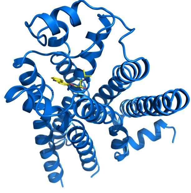 B1.2 Proteínas
