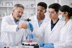 I.IV. El Programa Experimental